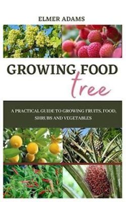  Growing Fruits and Vegetables in Pakistan: A Practical Guide for Beginners! A Poetic Ode to Earth's Bounty and a Humorous Journey Through Pakistani Gardens