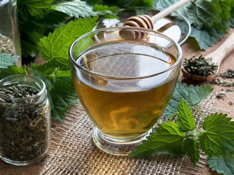 How to Make Nettle Tea with Dried Leaves: A Journey Through Flavor and Tradition