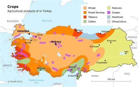  Understanding Turkish Agriculture: An Ode to Anatolian Soil and Resilience - A Journey Through the Landscapes of Tradition