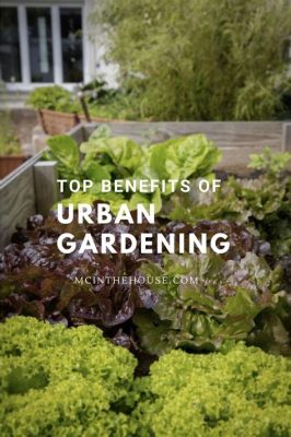  Urban Gardening: Grow Food for Yourself and Your Neighborhood -  A Symphony of Green Rhythms in Concrete Jungles