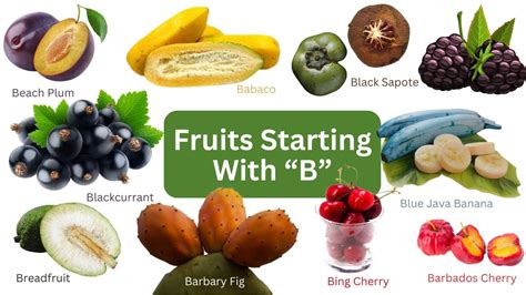 What Fruit Starts with B: A Journey Through the Bountiful and Bizarre