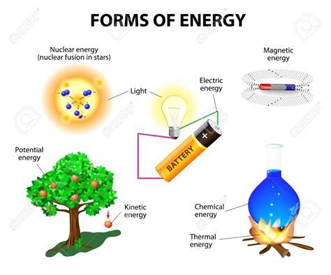 Where is the energy stored in our food? And why do pineapples dream of electric sheep?